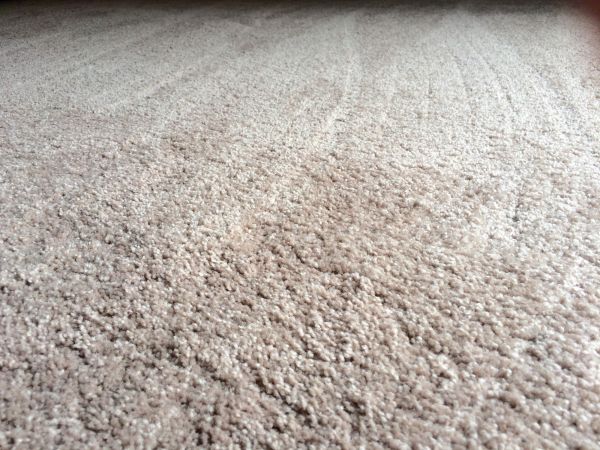 Plush Carpet Installation in Wexford